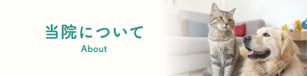 当院について