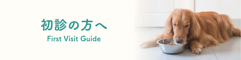 初診の方へ