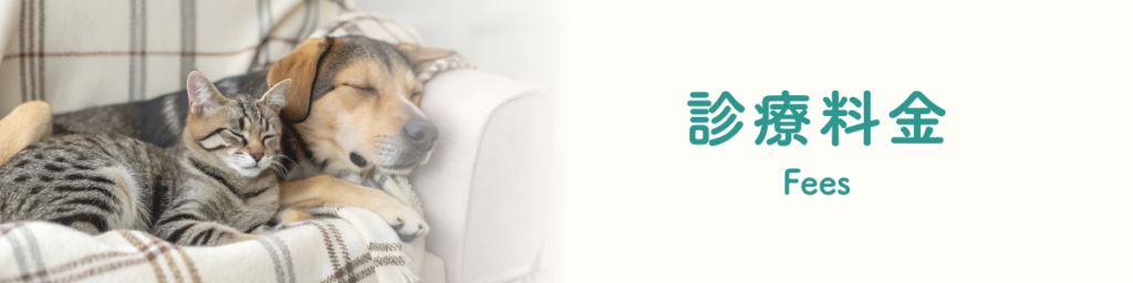 往診・診療料金