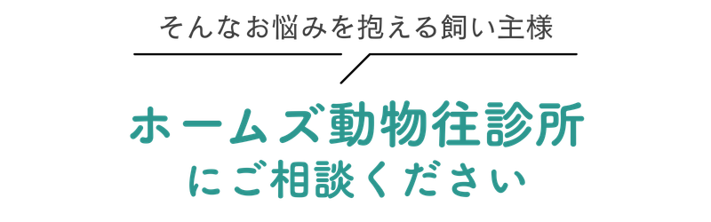 ホームズ動物往診所にご相談ください