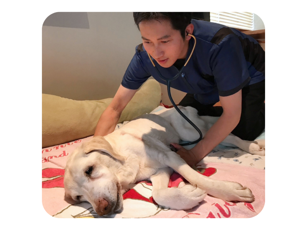 ホームズ動物往診所院長